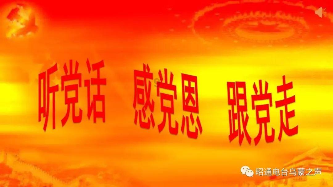 救援小肥兔